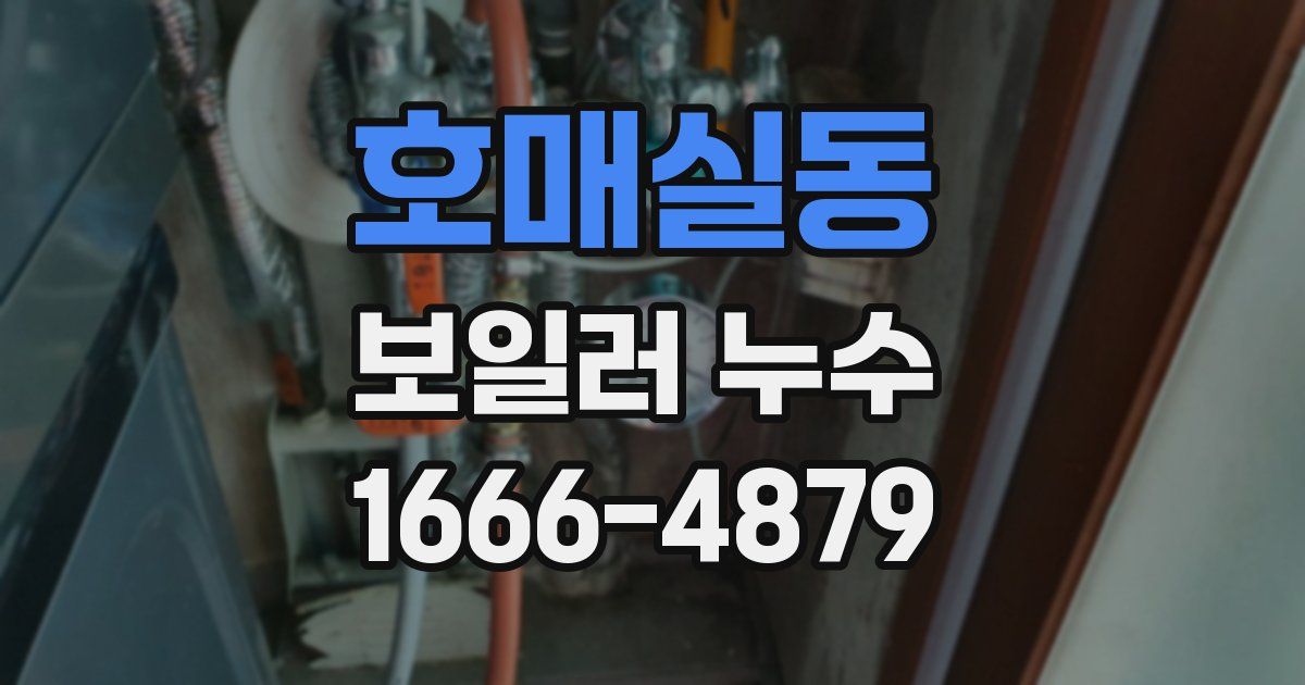 호매실동 보일러 누수