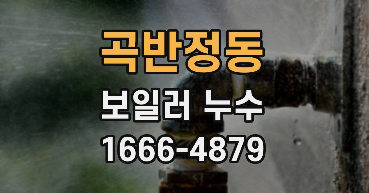 곡반정동 보일러 누수