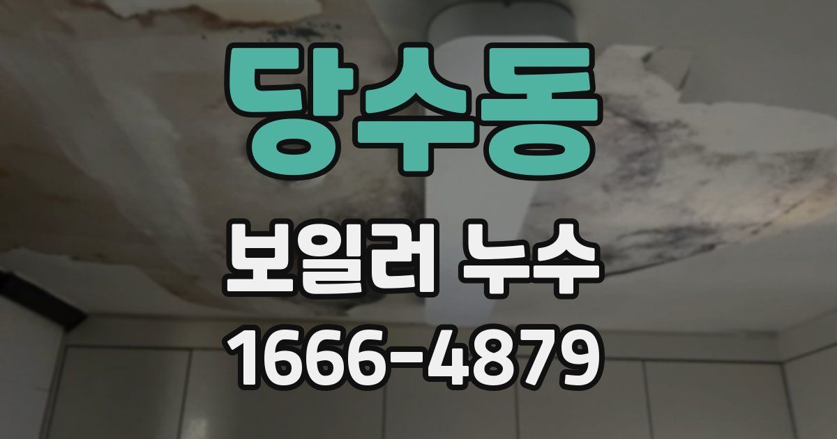당수동 보일러 누수