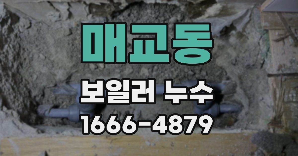 매교동 보일러 누수
