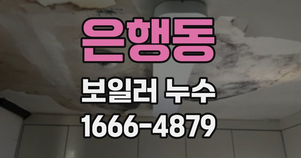 은행동 보일러 누수
