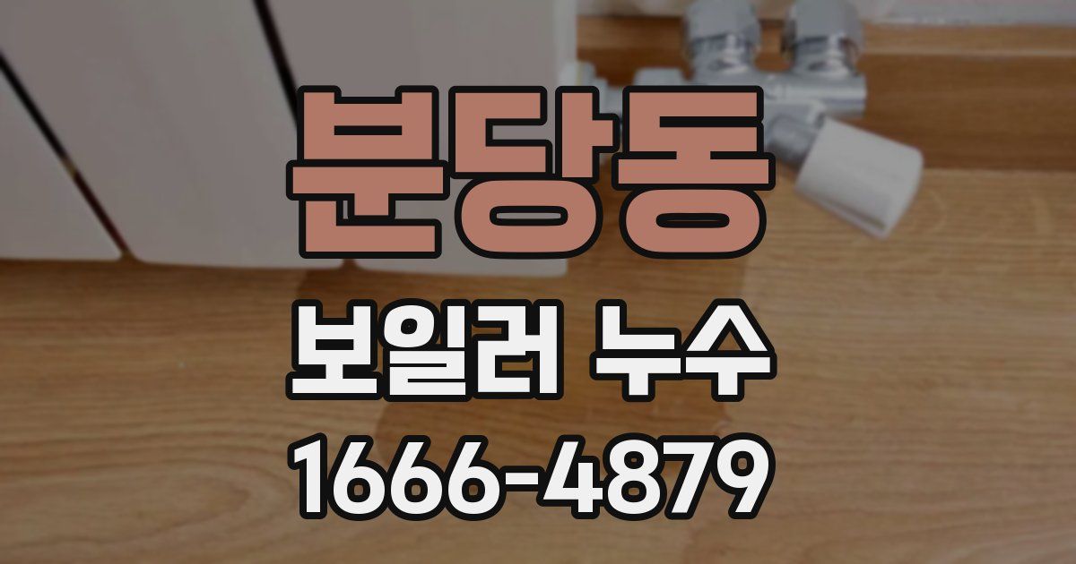분당동 보일러 누수