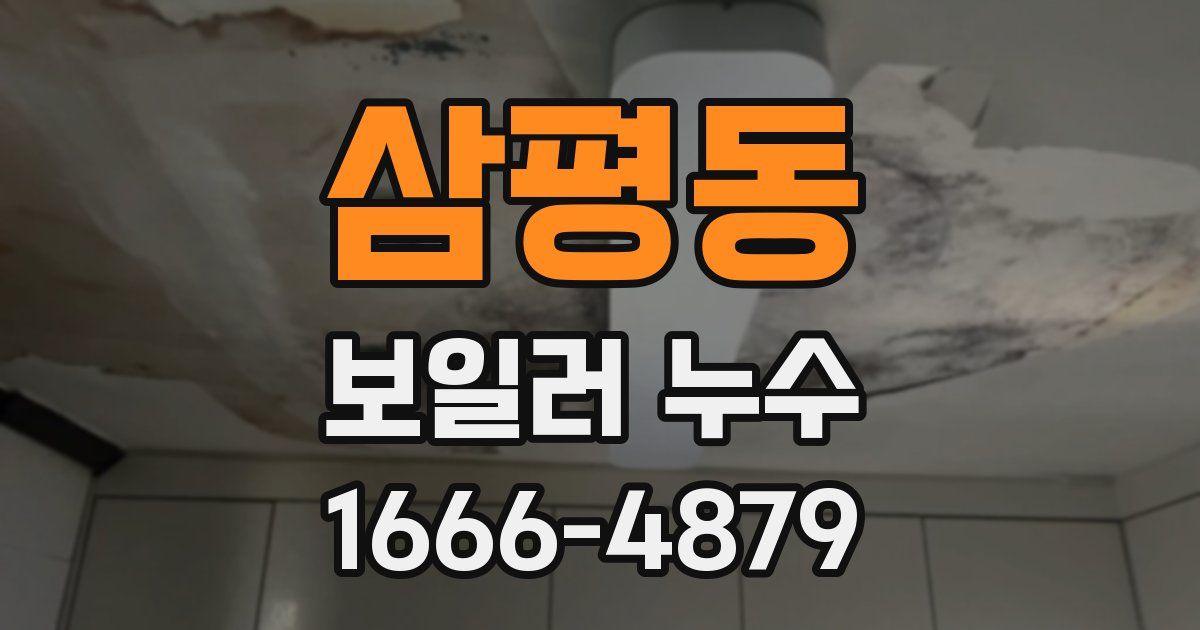 삼평동 보일러 누수
