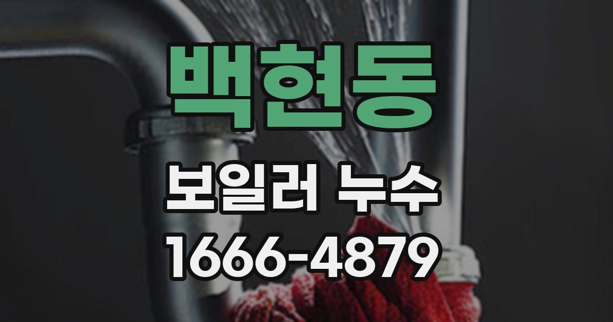 백현동 보일러 누수