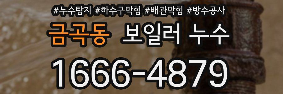금곡동 보일러 누수