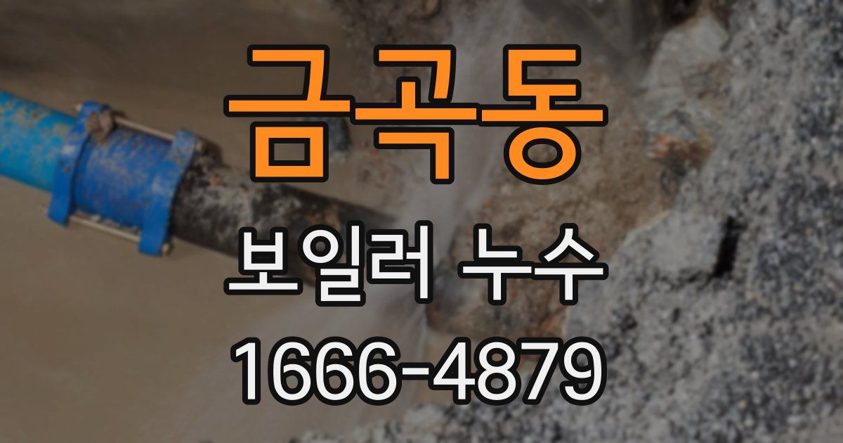 금곡동 보일러 누수