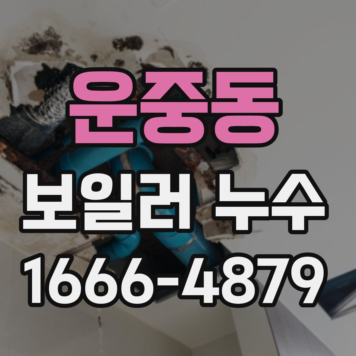 운중동 보일러 누수