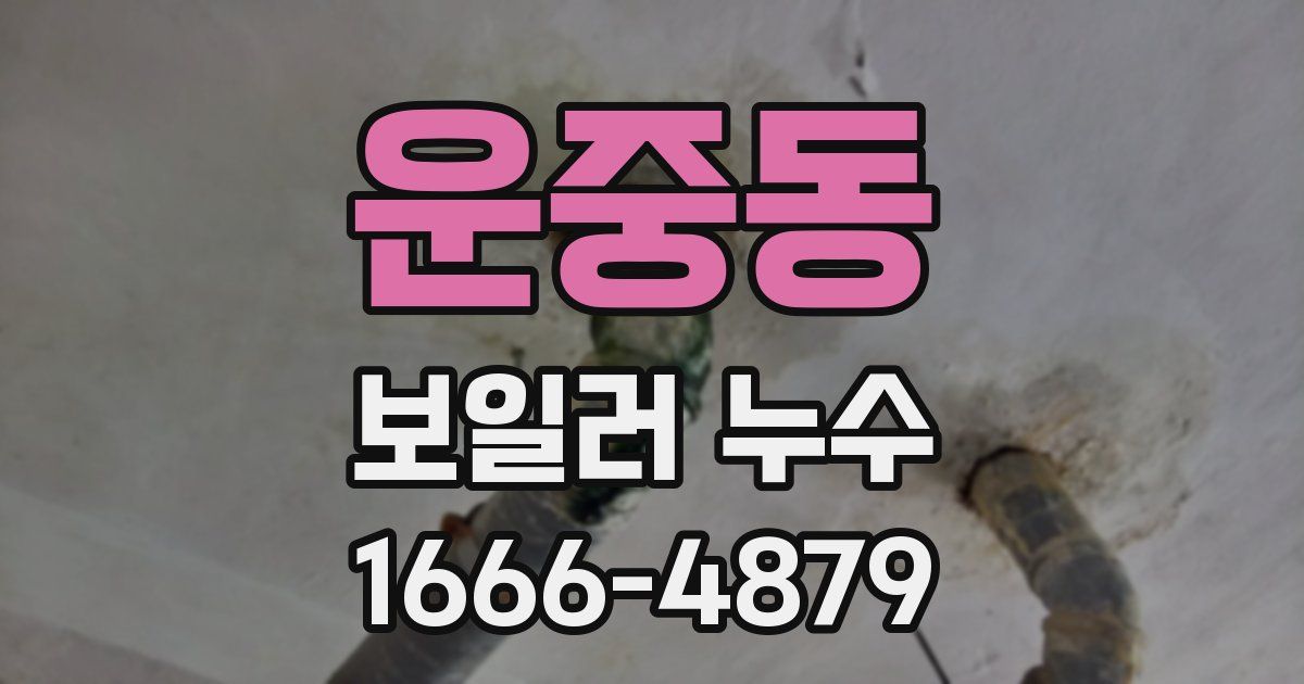 운중동 보일러 누수
