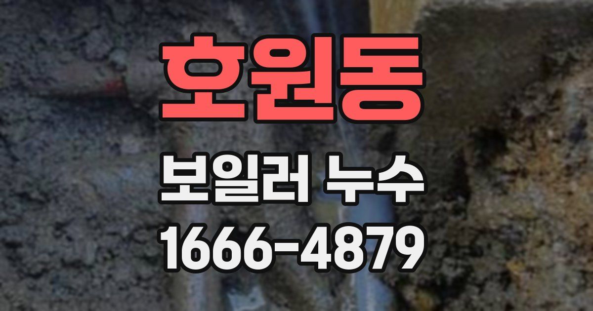 호원동 보일러 누수