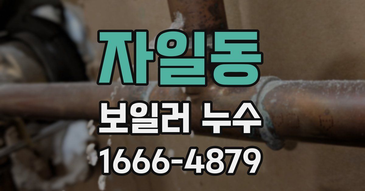 자일동 보일러 누수