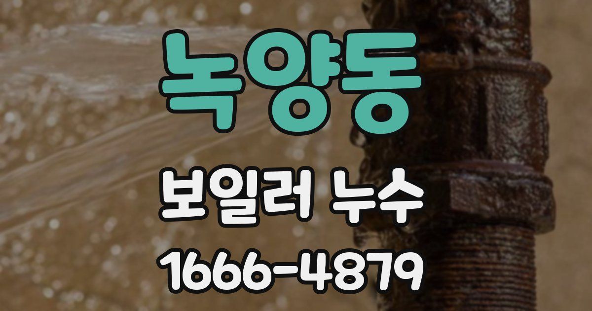 녹양동 보일러 누수