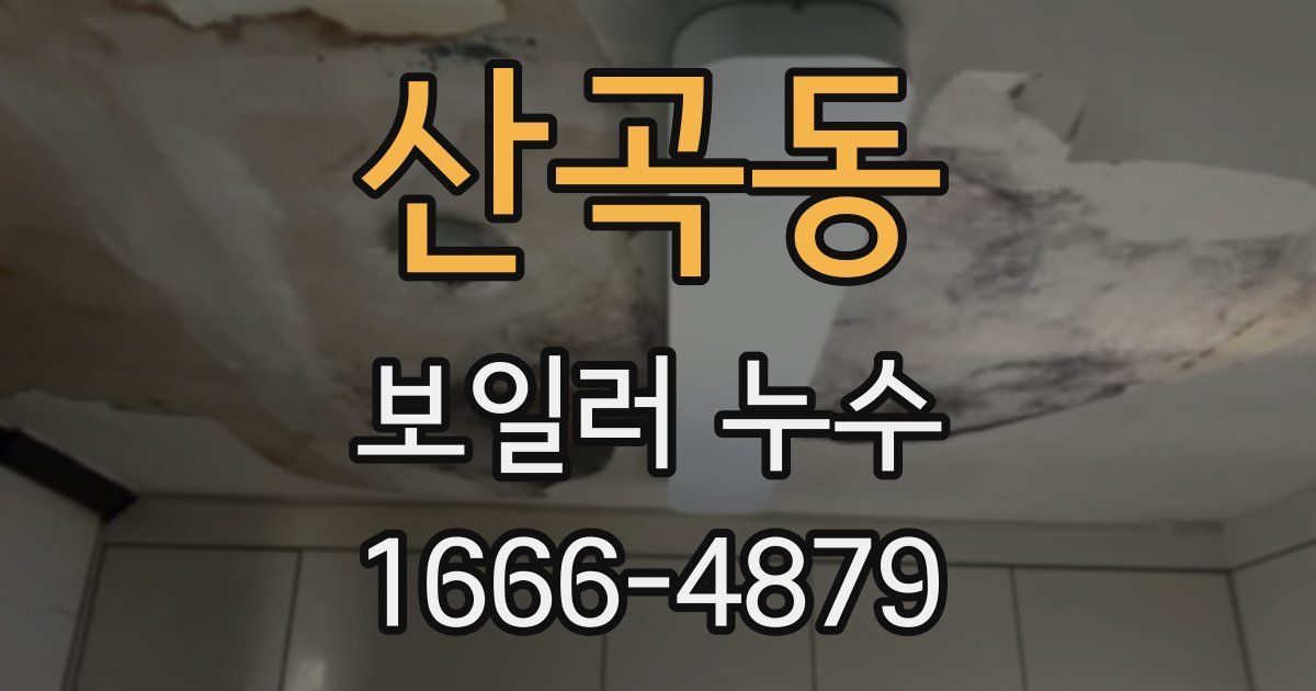 산곡동 보일러 누수