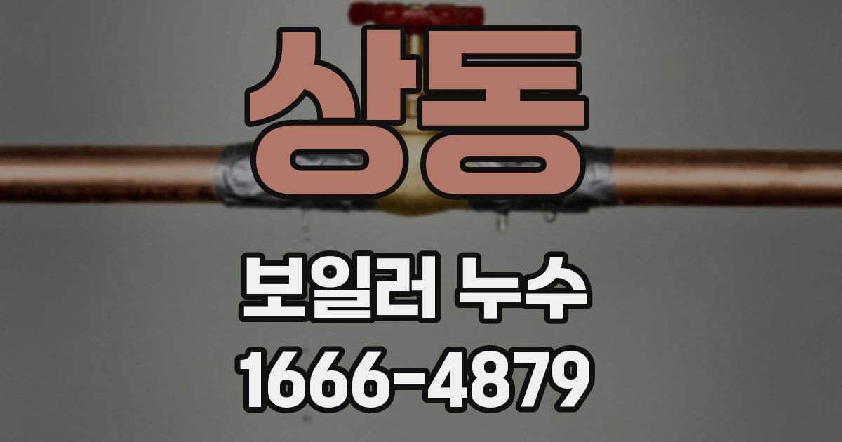 상동 보일러 누수