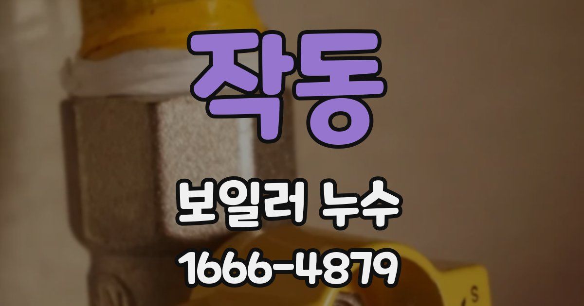 작동 보일러 누수