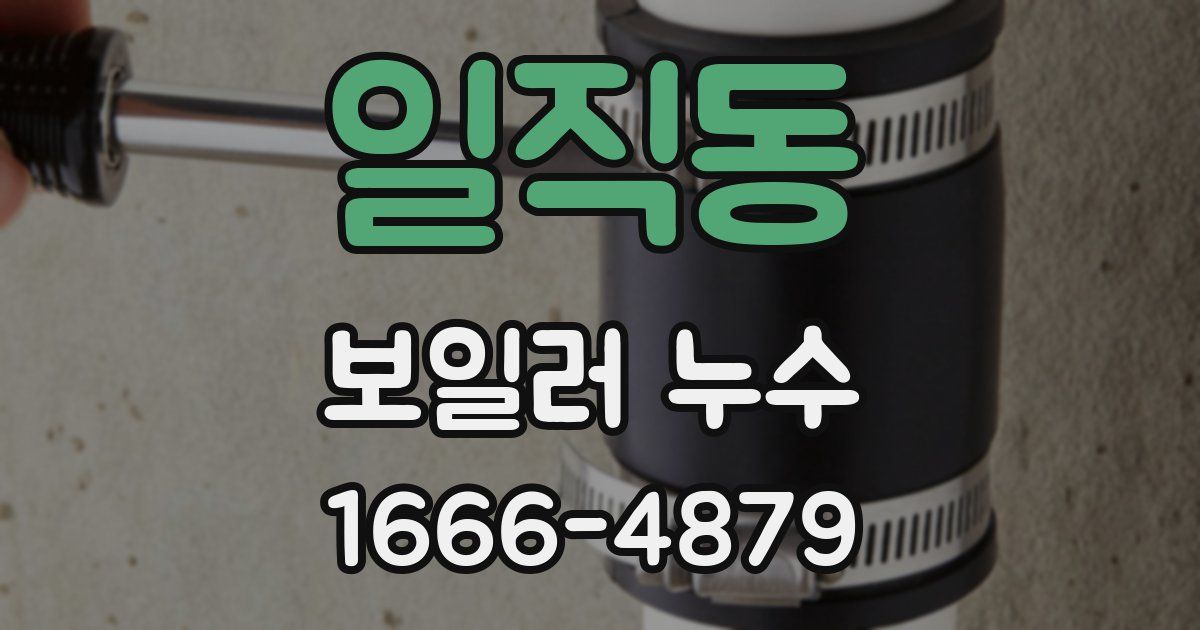일직동 보일러 누수
