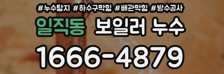 일직동 보일러 누수