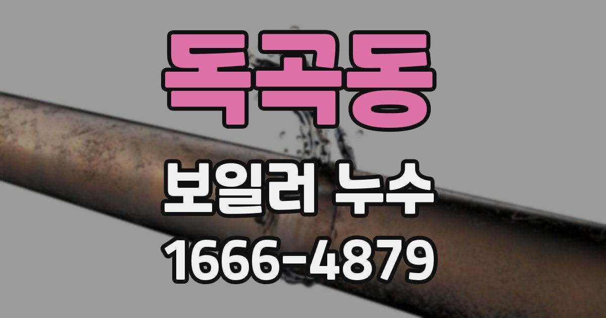 독곡동 보일러 누수