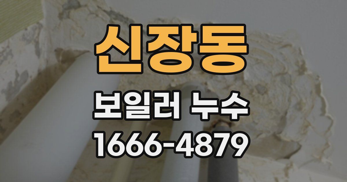 신장동 보일러 누수