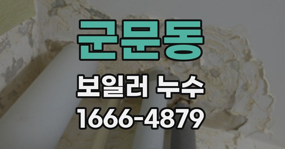 군문동 보일러 누수
