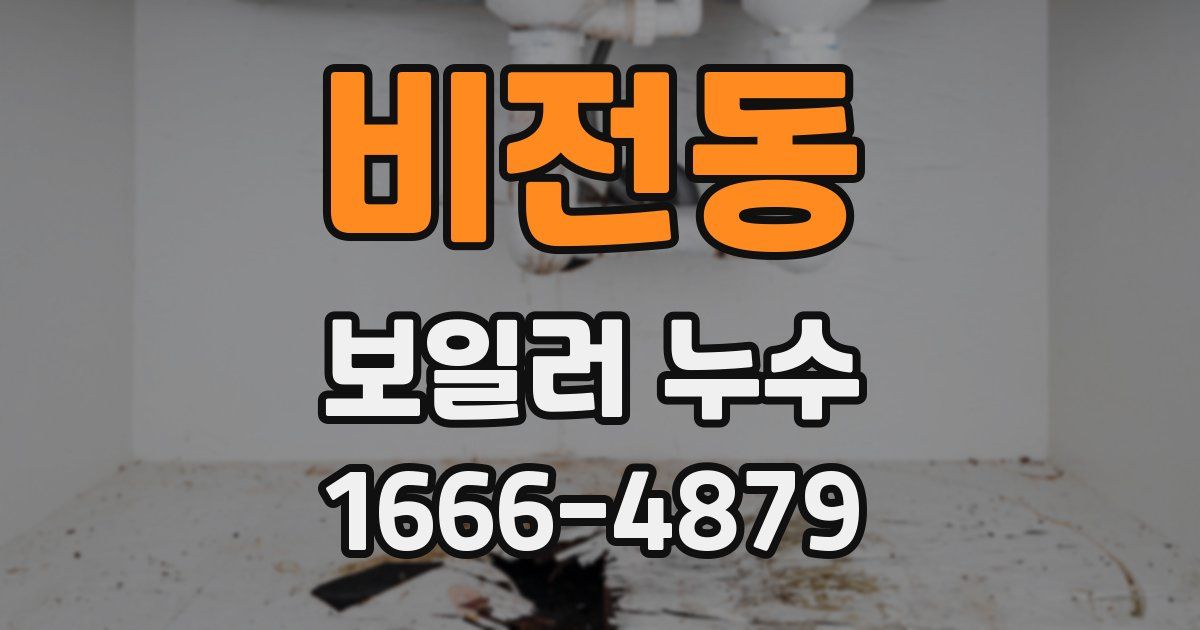 비전동 보일러 누수