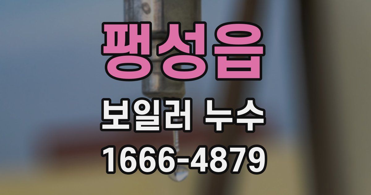 팽성읍 보일러 누수