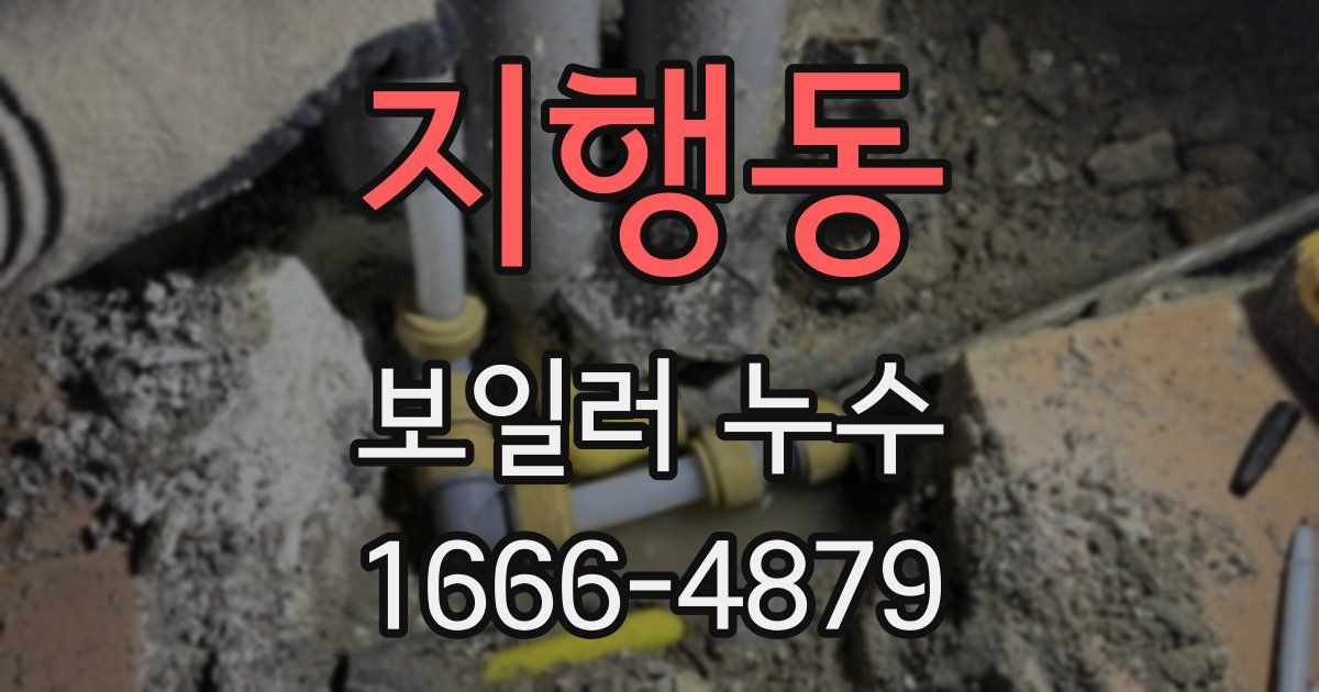 지행동 보일러 누수