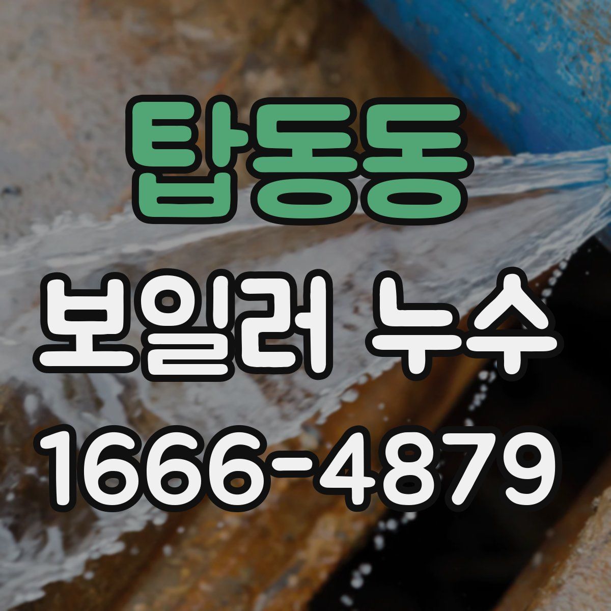 탑동동 보일러 누수