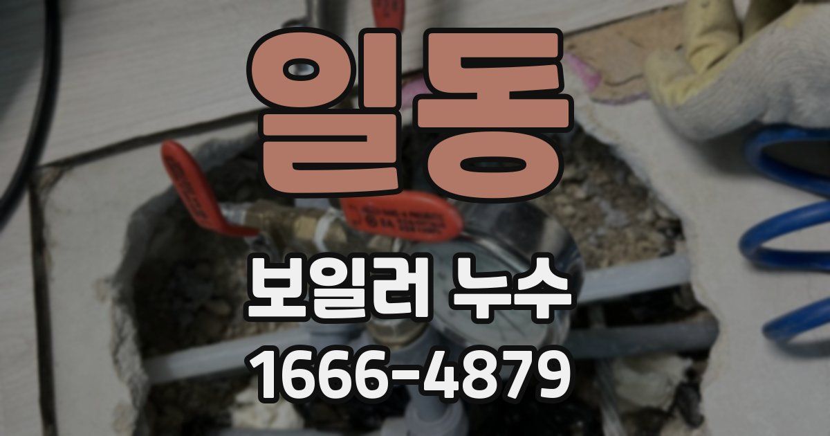 일동 보일러 누수