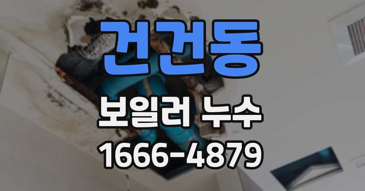 건건동 보일러 누수