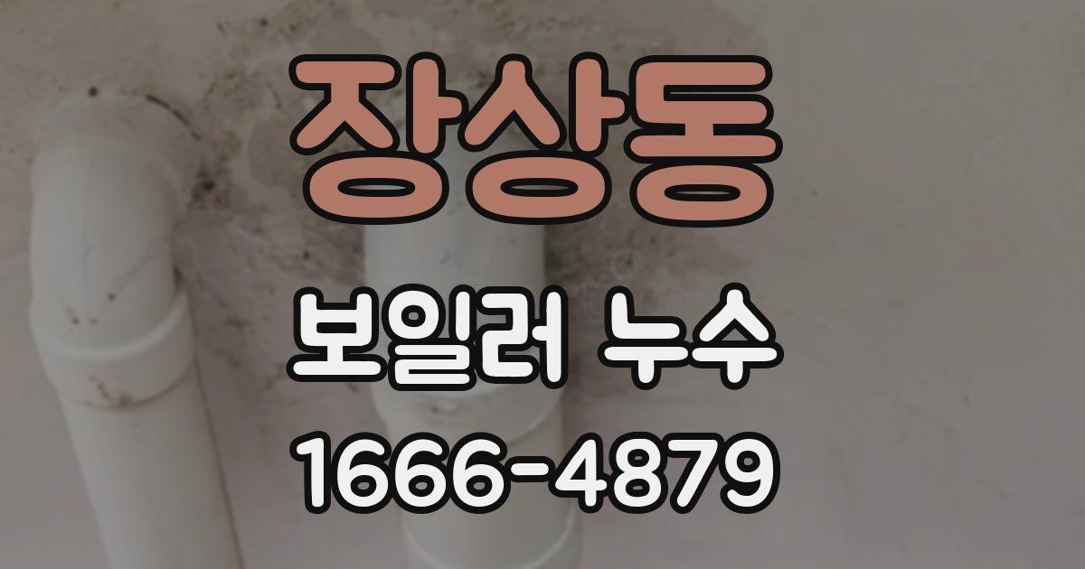 장상동 보일러 누수