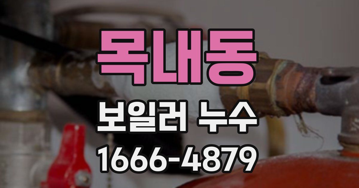 목내동 보일러 누수