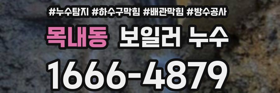 목내동 보일러 누수