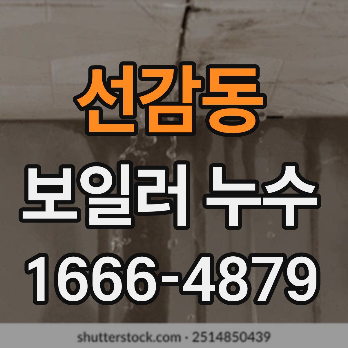 선감동 보일러 누수