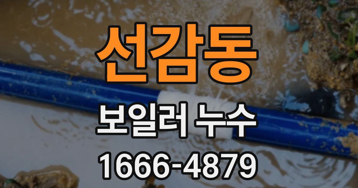선감동 보일러 누수