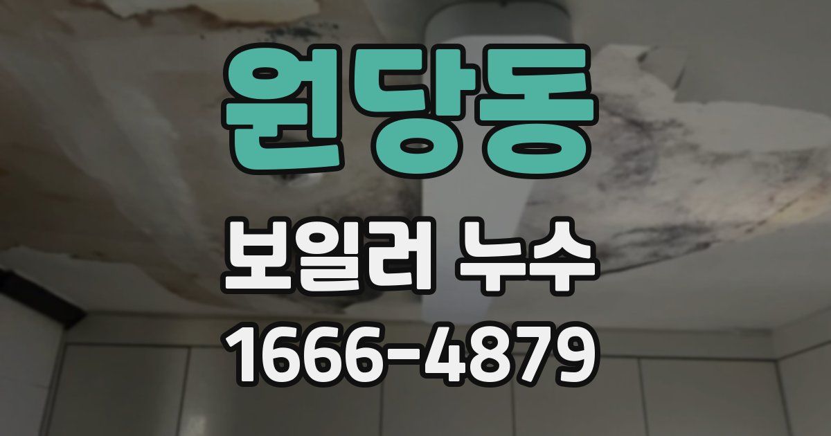 원당동 보일러 누수