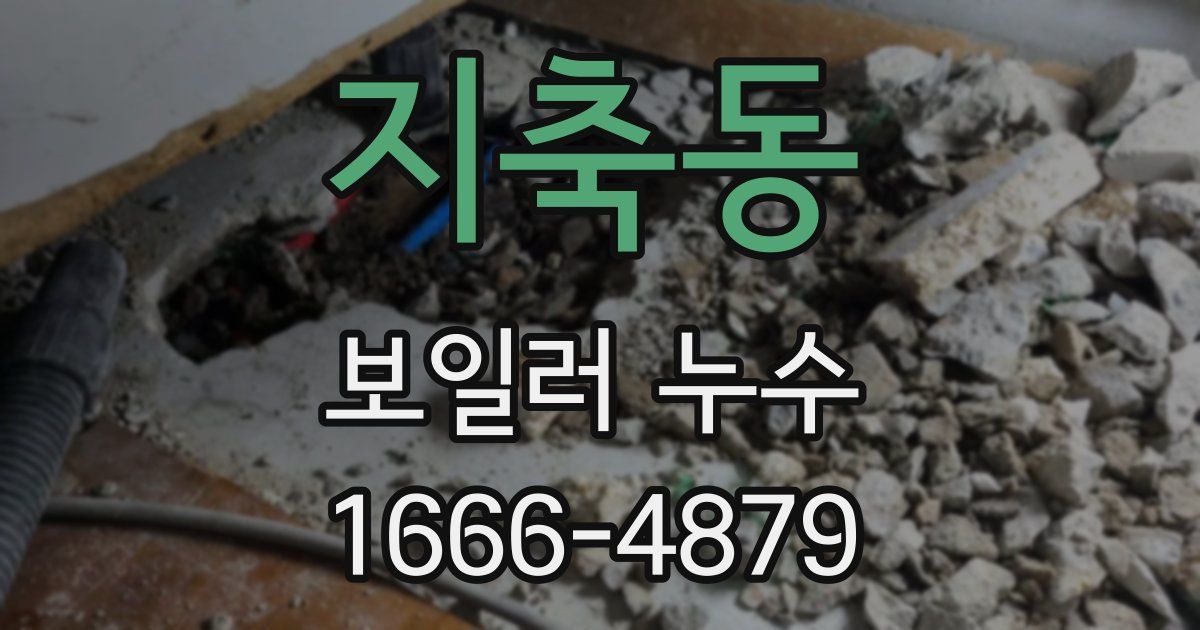 지축동 보일러 누수