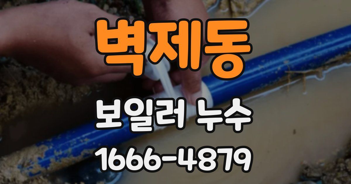 벽제동 보일러 누수