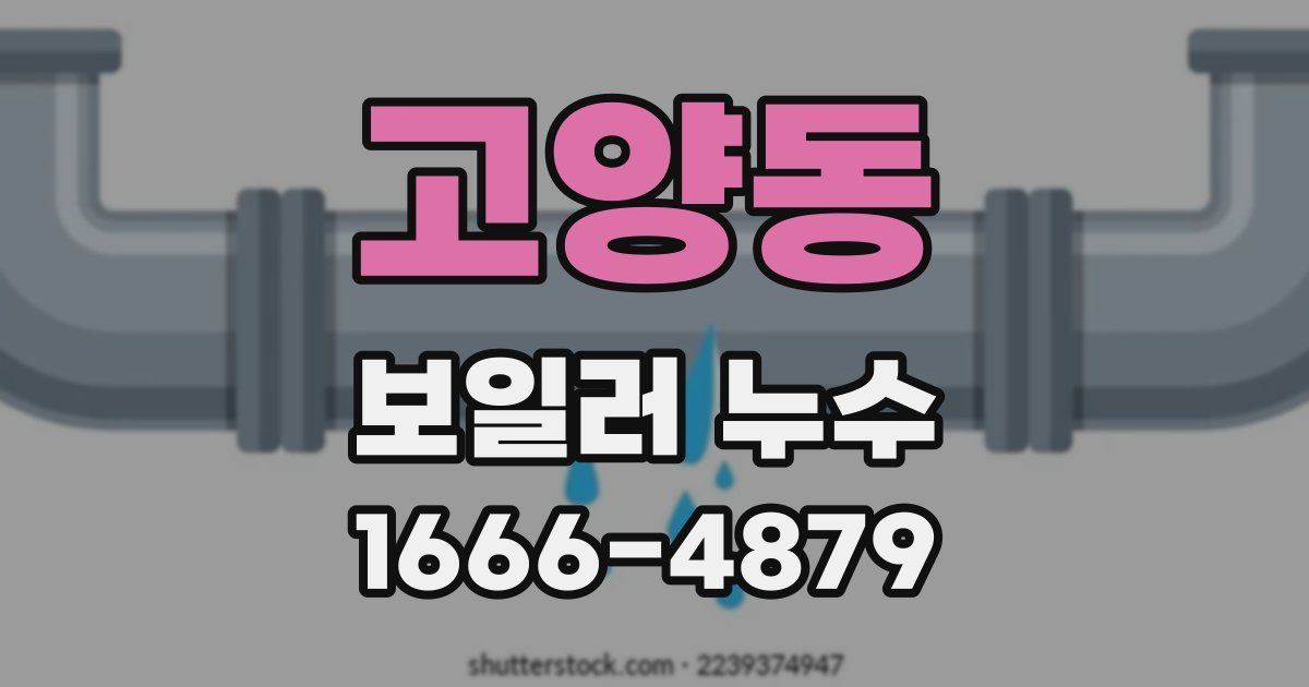 고양동 보일러 누수