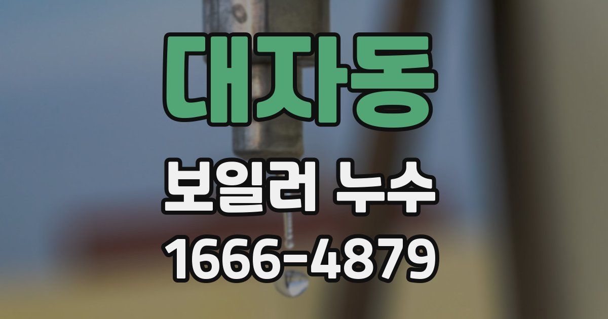 대자동 보일러 누수