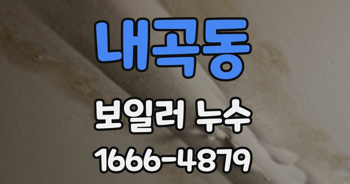 내곡동 보일러 누수