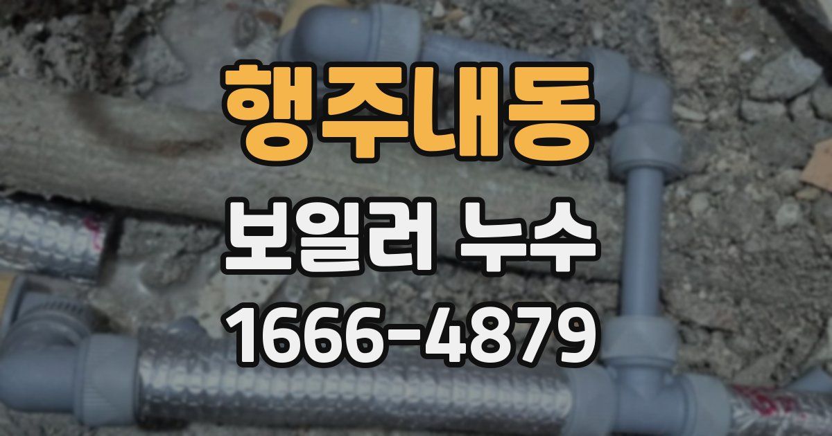 행주내동 보일러 누수