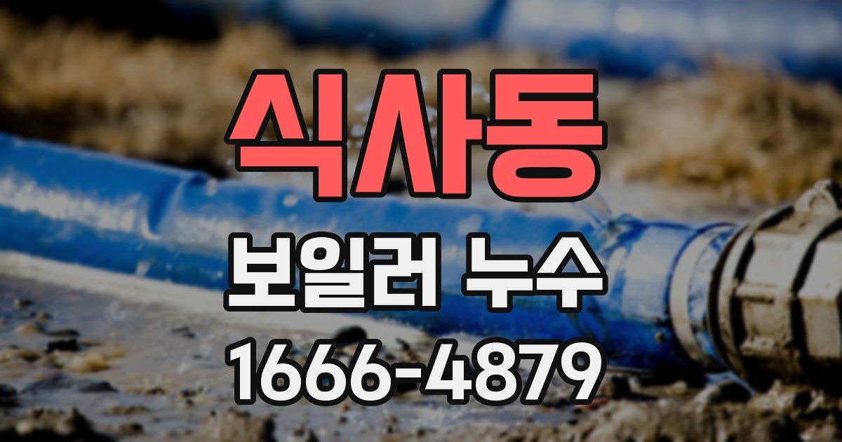 식사동 보일러 누수