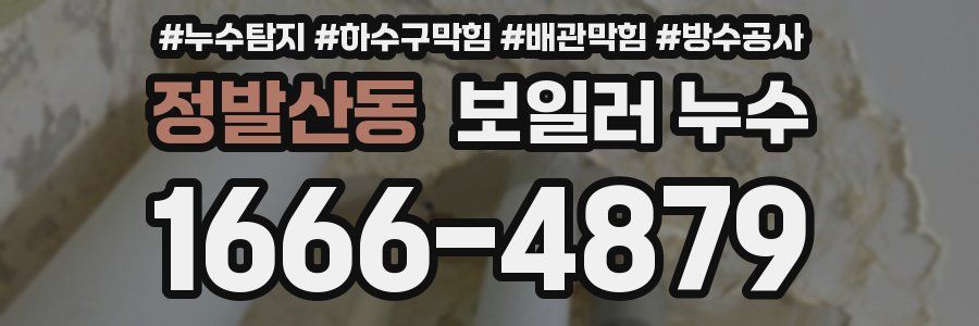 정발산동 보일러 누수