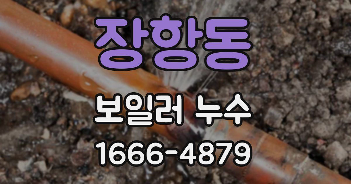 장항동 보일러 누수