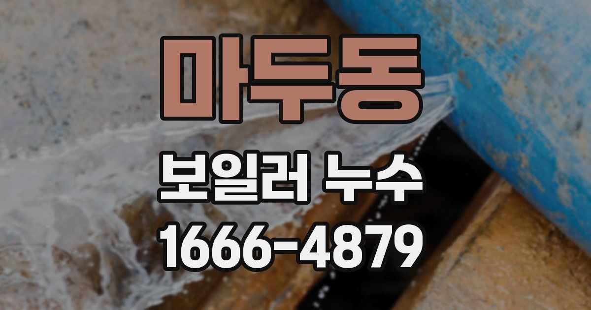 마두동 보일러 누수