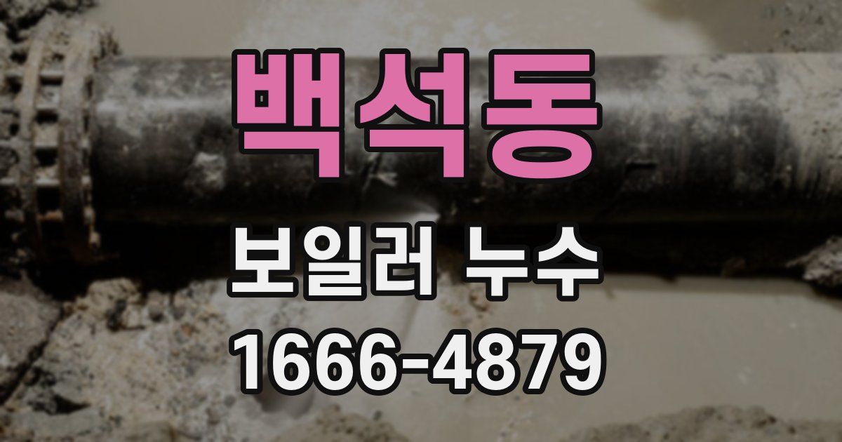 백석동 보일러 누수