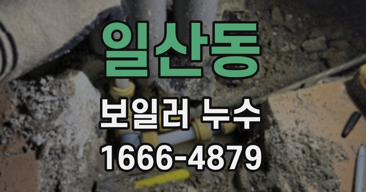 일산동 보일러 누수