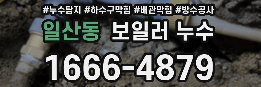 일산동 보일러 누수