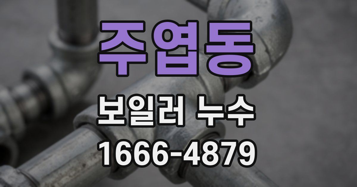 주엽동 보일러 누수