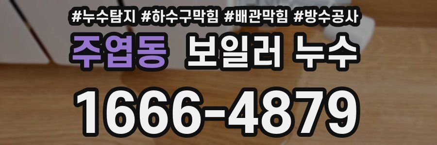 주엽동 보일러 누수